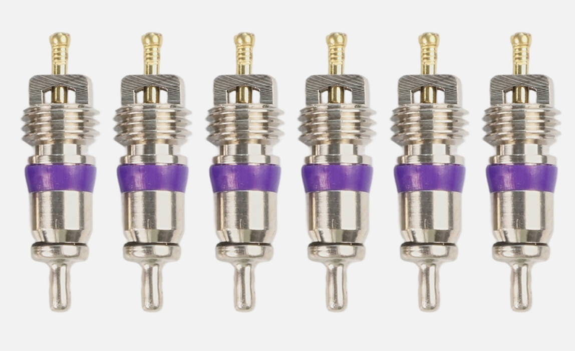 10x Ventileinsatz M8 x 10 für R134a Klimaanlagenventile