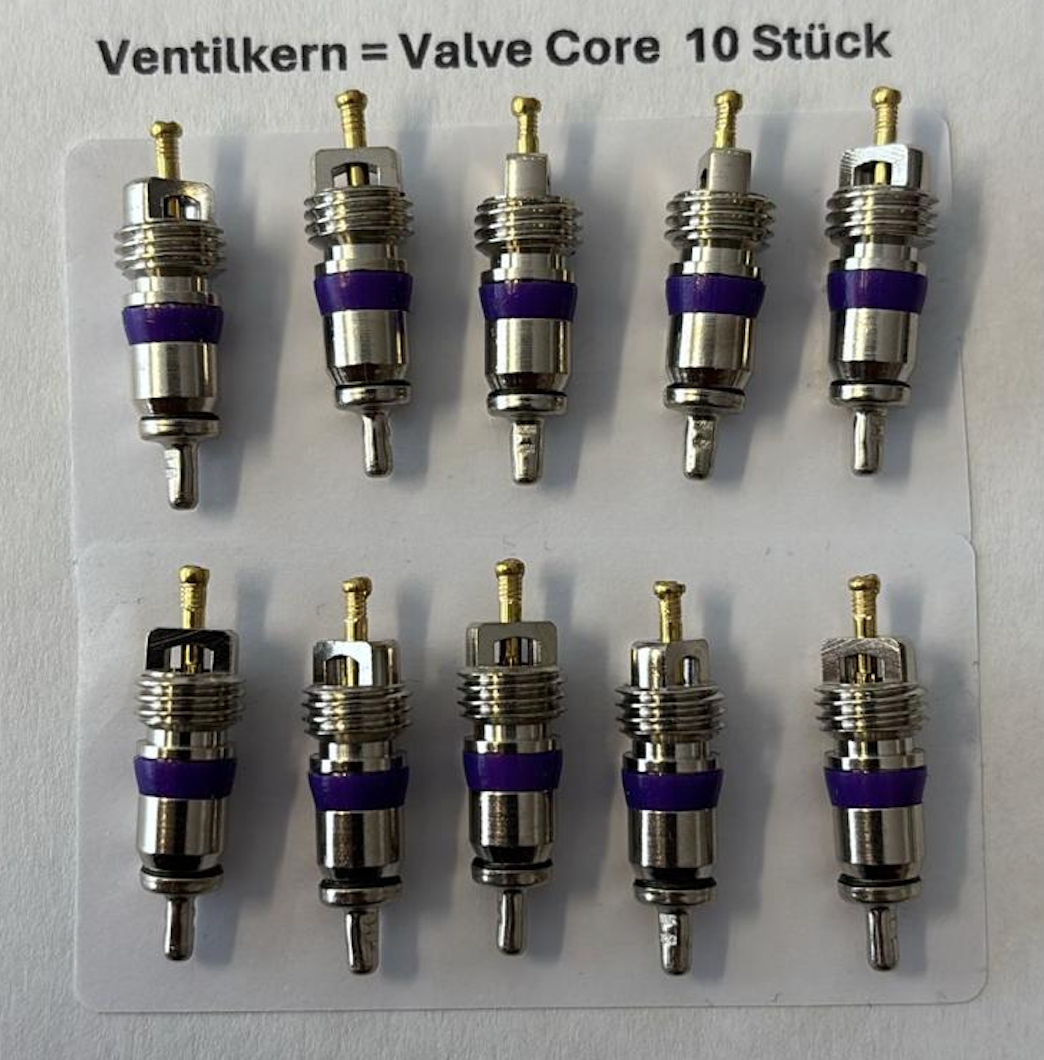 10x Ventileinsatz M8 x 10 für R134a Klimaanlagenventile