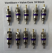 10x Ventileinsatz M8 x 10 für R134a Klimaanlagenventile